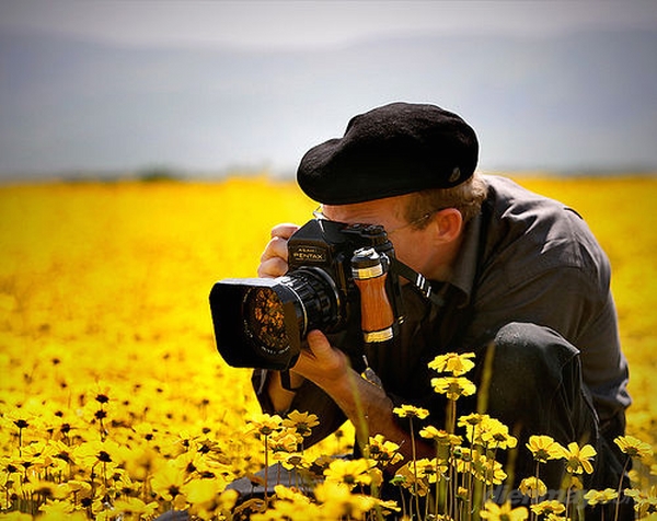 6-cach-chup-hoa-dep-ngay-tet-5