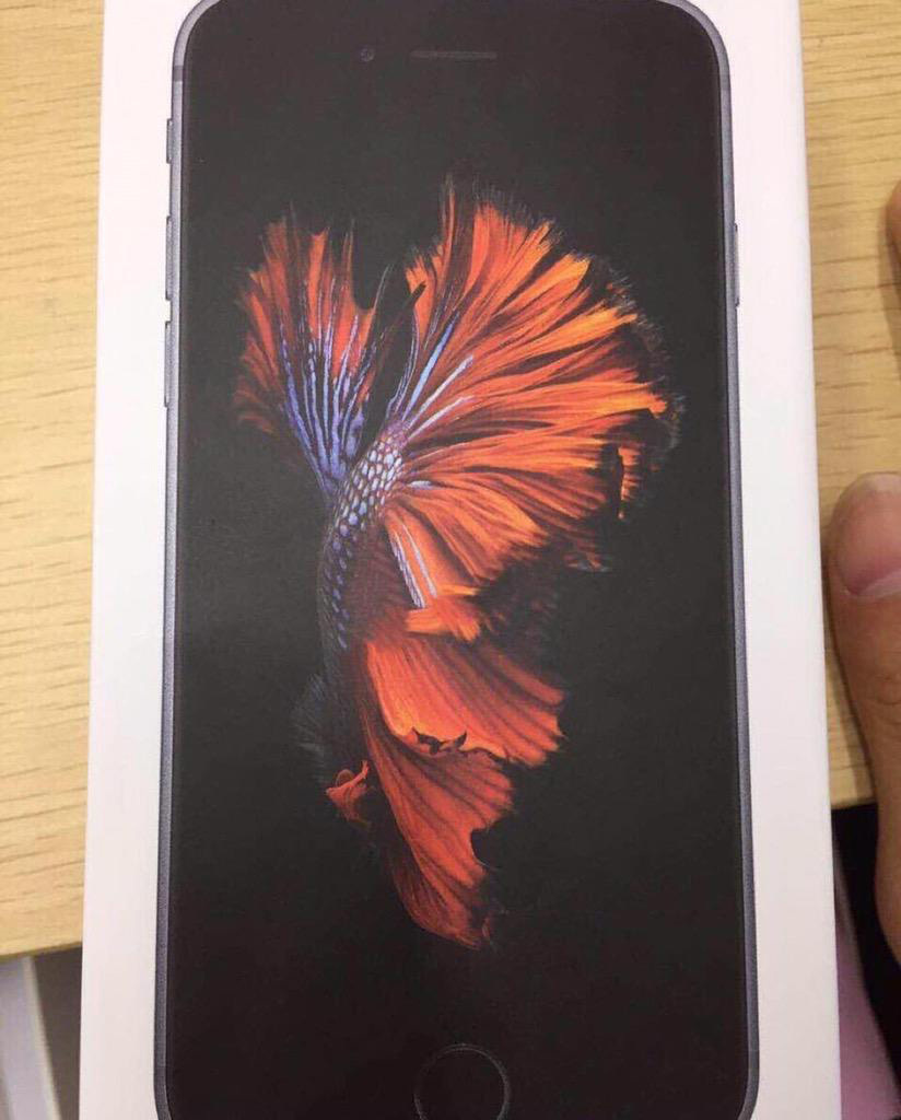 Vỏ hộp đựng iPhone 6s/6s Plus xuất hiện với nhiều thay đổi lớn