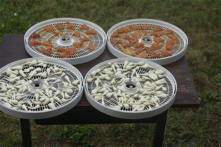 Cách làm củ kiệu chua ngọt không bị đen tại nhà cho ngày Tết Cách làm củ kiệu chua ngọt không bị đen tại nhà cho ngày Tết