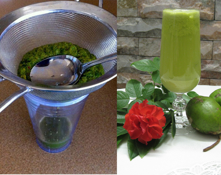 Cách làm nước ép cóc bằng máy xay sinh tố - 3 Cách làm nước ép cóc bằng máy xay sinh tố - 3