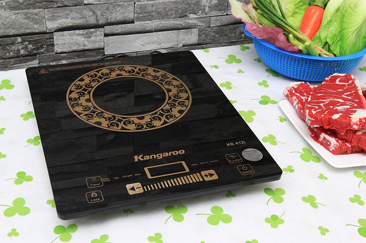 Bếp từ Kangaroo KG412I