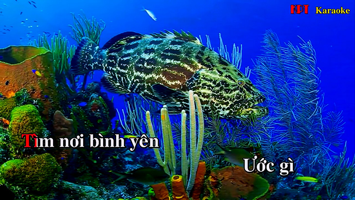 Kết quả hình ảnh cho Hát karaoke online trên Smart tivi samsung