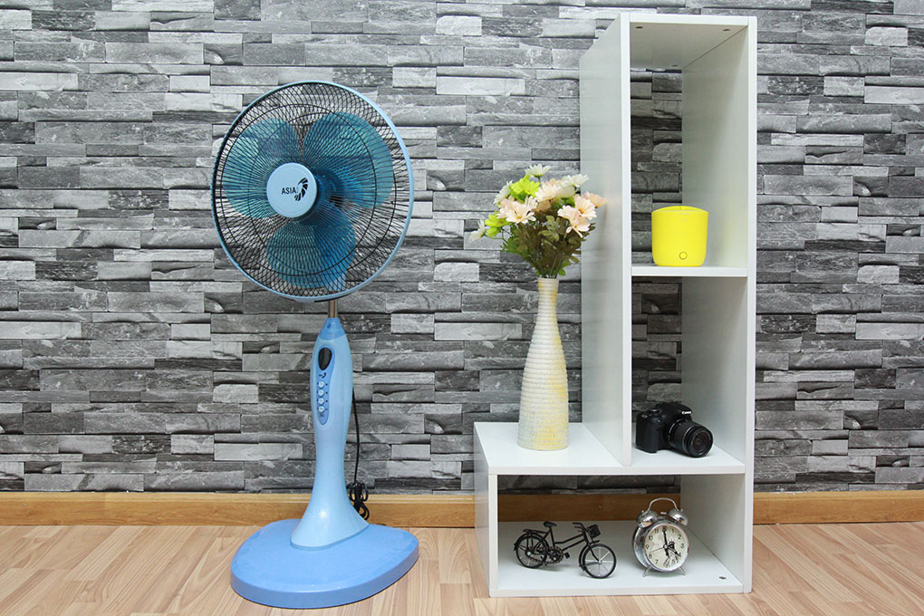 Quạt Asia có tốt không? Quạt Asia có tốt không?