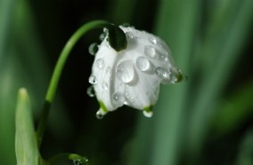 Chức năng phun sương giúp cân bằng độ ẩm không khí