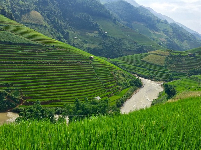 Ống kính rộng thu được hình ảnh nhiều hơn (Ảnh: Huan Nguyen Van) Ống kính rộng thu được hình ảnh nhiều hơn (Ảnh: Huan Nguyen Van)