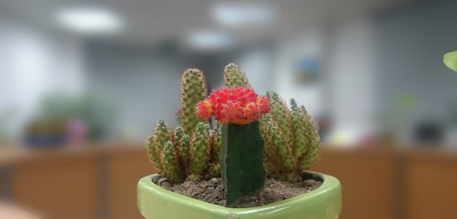 Ảnh chụp ở chế độ Ảnh chụp ở chế độ
