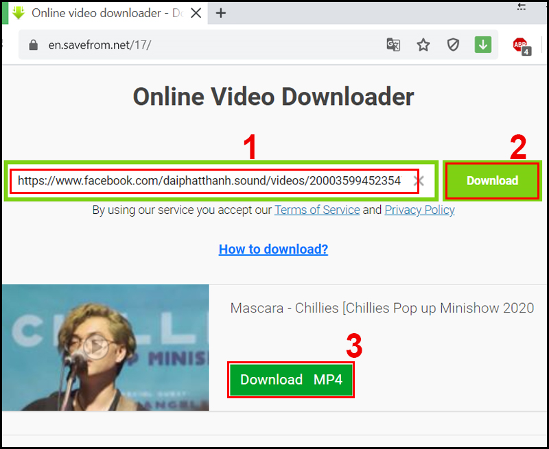 URL project to savefrom page, then Download video
