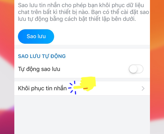 Bước 5: Kế tiếp bạn hãy chọn Khôi phục tin nhắn để lấy lại những cuộc trò chuyện đã xóa.